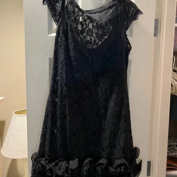 Lace and Feathers Black Dress